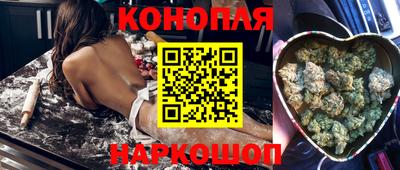 гашик Нальчик