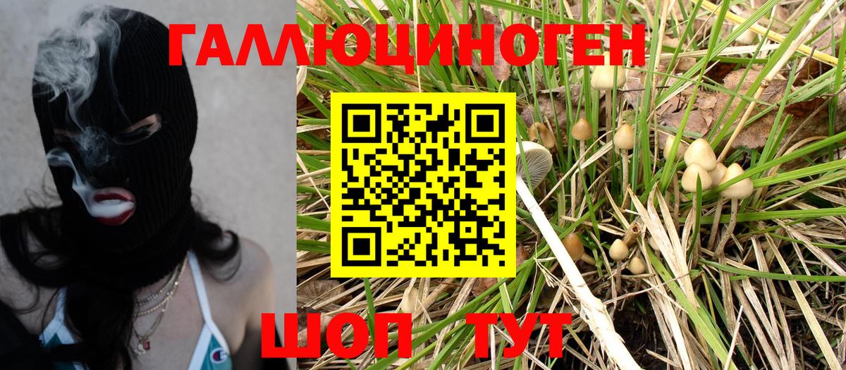 Псилоцибиновые грибы MAGIC MUSHROOMS  Вход с VPN  Урай 
